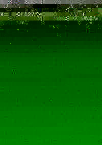 TIERBEFREIUNG 103