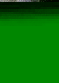 TIERBEFREIUNG 114