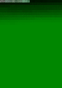 TIERBEFREIUNG 116