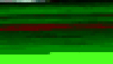 TIERBEFREIUNG 118