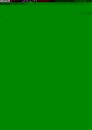 TIERBEFREIUNG 119