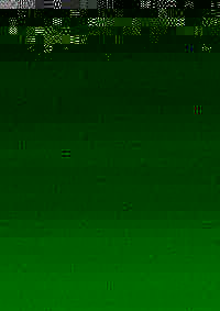 TIERBEFREIUNG 55