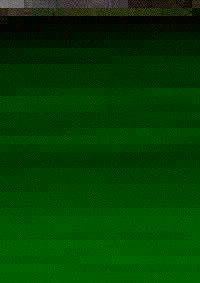 TIERBEFREIUNG 58