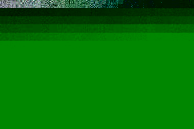 TIERBEFREIUNG 79