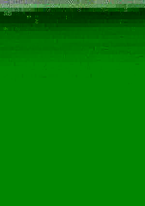 TIERBEFREIUNG 84