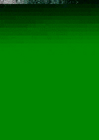 TIERBEFREIUNG 94