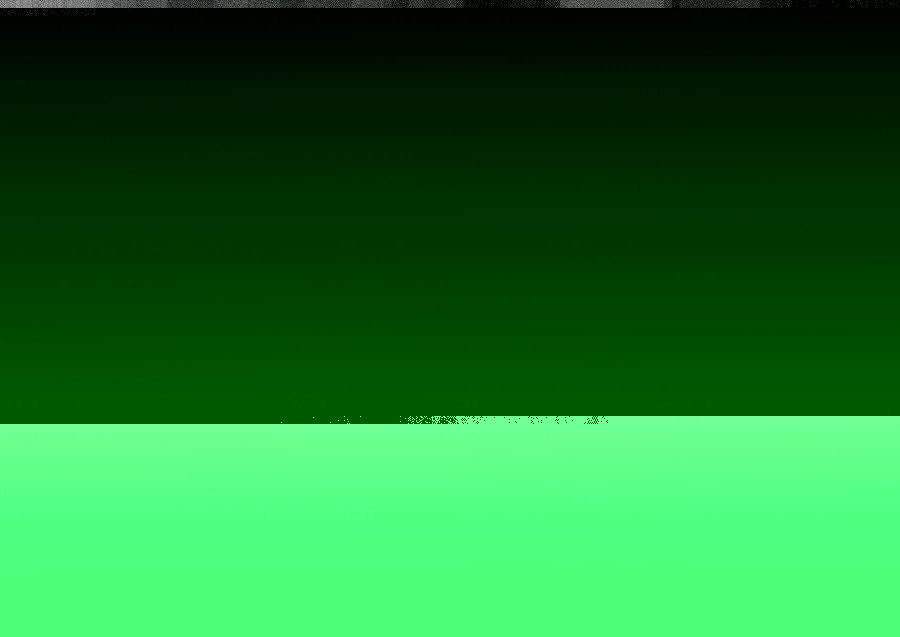 TIERBEFREIUNG 97