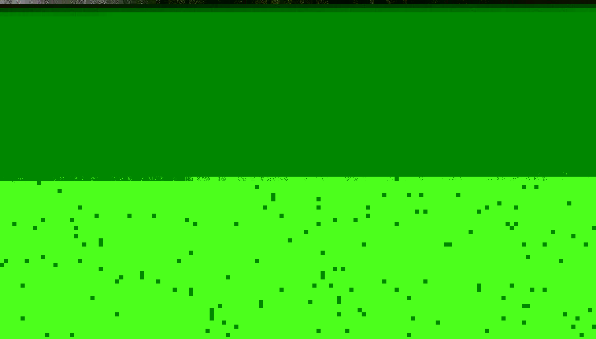 Cover TIERBEFRIEUNG 80