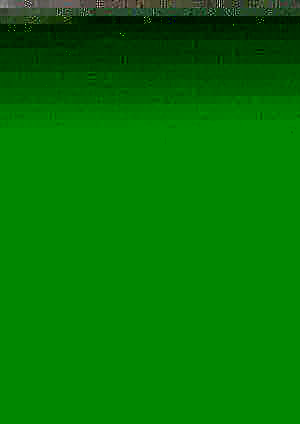Cover TIERBEFRIEUNG 85