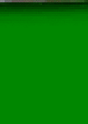 Cover TIERBEFRIEUNG 90