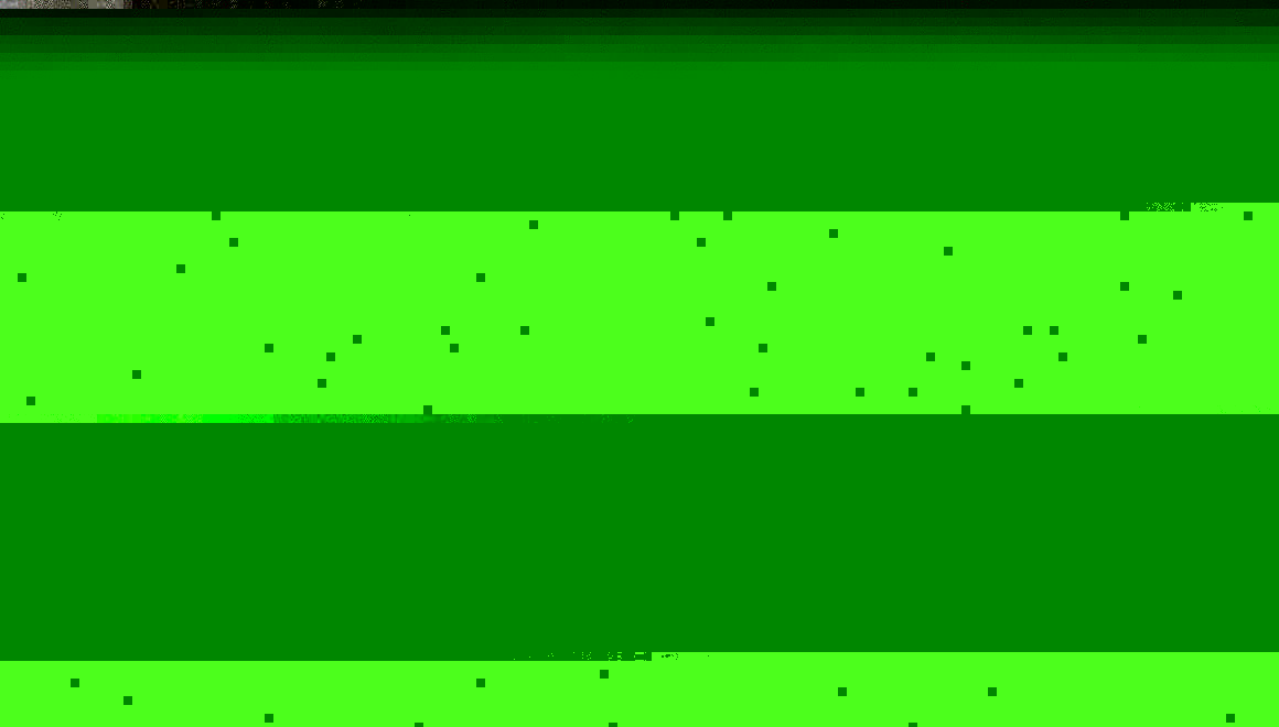 Cover TIERBEFRIEUNG 91