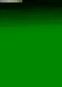 Cover TIERBEFRIEUNG 98