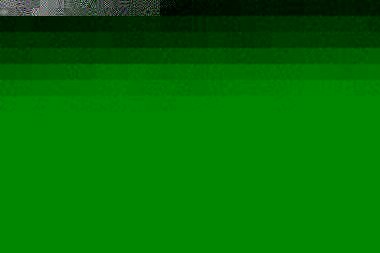 Zwei Basstölpel an Land. Der rechte hat eine kleine schwarze Pupille umgeben von einer weißen/hellblauen Iris. Bei dem linken ist das gesamte Auge schwarz.