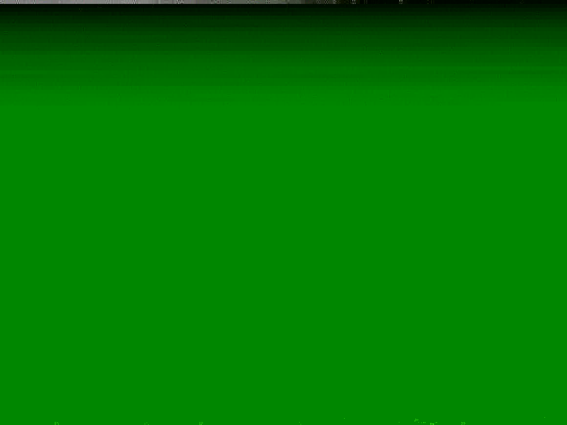 Fünf Strandläufer nebeneinander auf dem vom Meer bespülten Strand auf Nahrungssuche.